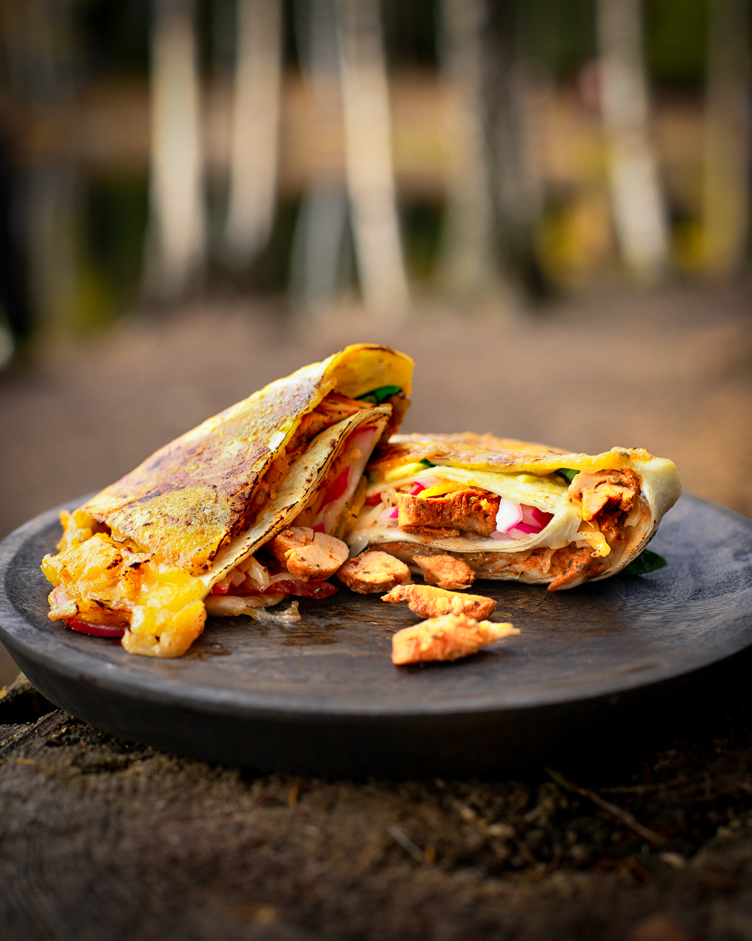 quesadilla